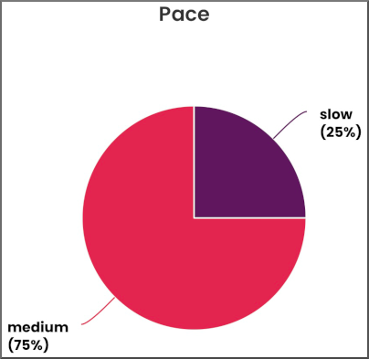 A pie chart of pace: 25% slow, 75% medium